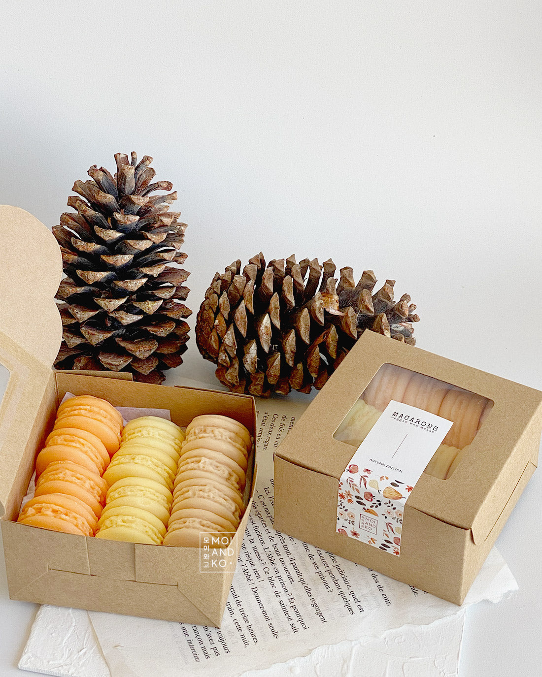 Macarons wax melt Winter Edition gift set | Kawaii Collection